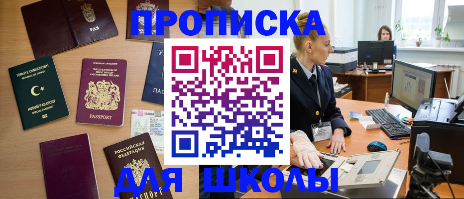 где прописаться в Звенигово